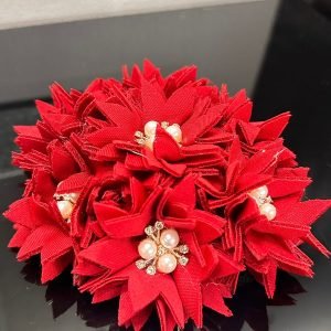 Hair Accessory