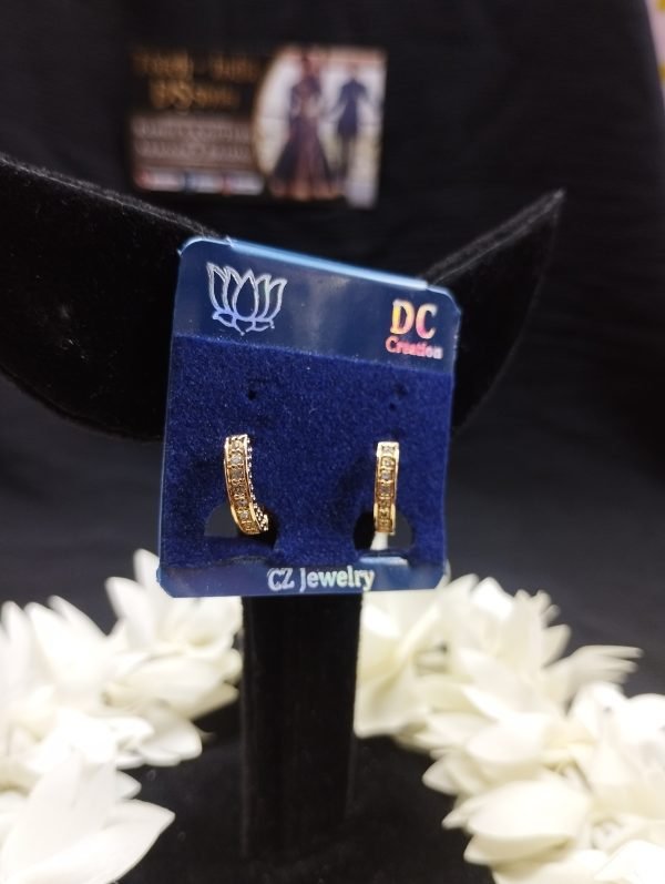 Earrings