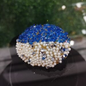 Brooches/Sari Pins