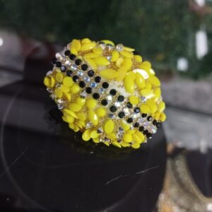 Brooches/Sari Pins