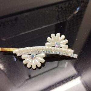 Hair Clip